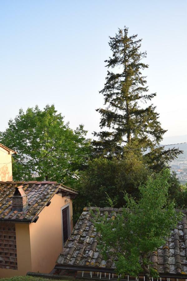 La Casa Sui Colli Villa Uzzano Exteriör bild